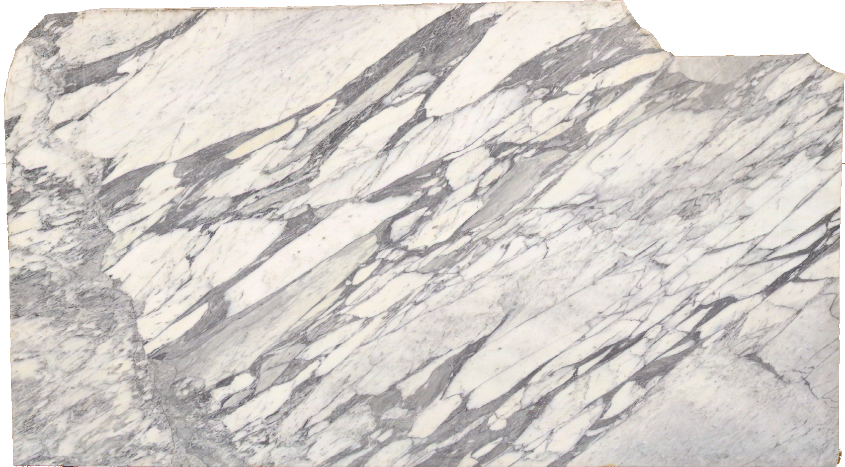 Exploring the Timeless Elegance of Marble Countertops in 2024: Trends and Selections from Bath Plus Kitchen